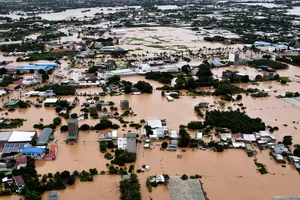Hội Chữ thập đỏ Khánh Hòa kêu gọi hỗ trợ người dân bị thiệt hại do mưa lũ