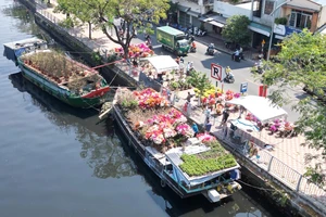 Đặc sắc Chợ hoa xuân 'Trên bến dưới thuyền' Tết Bính Ngọ 2026 