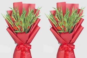 Vì sao hoa lay ơn được chọn để trao tặng trong các nghi thức trang trọng?