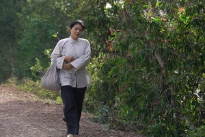 Bị bà Lệ tố cáo khắp nơi, Tô Hoàng tính đường 'diệt cỏ tận gốc'