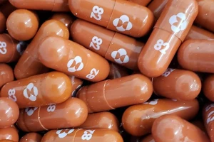 Merck xin cấp phép sử dụng khẩn cấp thuốc uống điều trị COVID-19 molnupiravir. Ảnh: THE BANGKOK POST