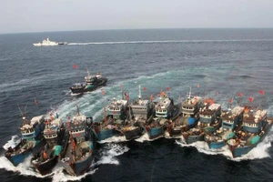 Đội tàu cá của Trung Quốc. Ảnh: ASIASOCIETY