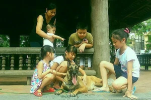 Vì sao chó hay cắn trẻ em?