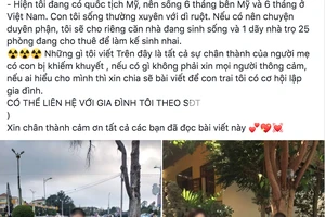 Mẹ tìm vợ cho người con trai tự kỷ 