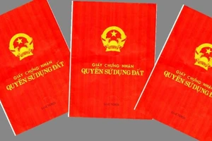 Đất bị cấp nhầm nhưng đã bán, có được thu hồi sổ hồng đã cấp