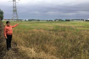 Có được miễn trước bạ khi chuyển sang đất nuôi trồng thuỷ sản