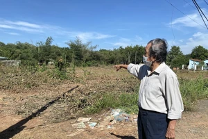 UBND phường thông tin về vụ hơn 300 cây cao su của 1 hộ dân bị đốn hạ