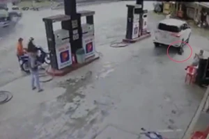 Vụ tài xế cán chú chó tại cây xăng: Trách nhiệm pháp lý ra sao? 