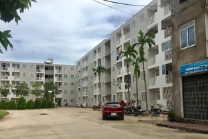 Nhiều chính sách nổi bật có hiệu lực từ tháng 2