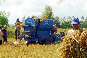 Tiếp tục miễn, giảm thuế sử dụng đất nông nghiệp đến hết 2025