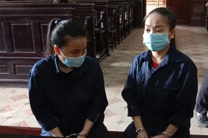 Đi xin học cho trẻ, trộm luôn tiền của hiệu trưởng