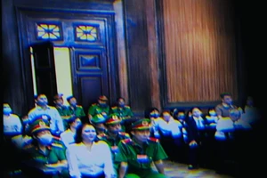 Những điểm đáng chú ý trong phiên xử bà Nguyễn Phương Hằng