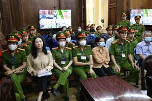 Luật sư của bà Trương Mỹ Lan đề nghị xem xét lại tội danh tham ô tài sản