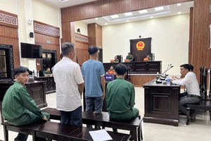 Hủy án vụ 'chở thuê hai chuyến hàng, án nặng như chủ mưu'