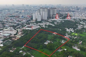 Dự án 6A tại huyện Bình Chánh của bà Trương Mỹ Lan được tòa tuyên giao cho ai?