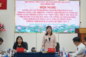 Liên ngành tố tụng Khu vực 2, Khu vực 16 kiến nghị nhiều vấn đề với HĐND TP.HCM