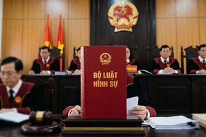 7 nhóm vấn đề lớn dự kiến được sửa đổi, bổ sung trong Bộ luật Hình sự