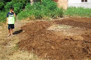 Trẻ vừa học vừa bịt mũi