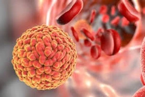 Một người Việt Nam nhiễm virus Zika khi du lịch Nhật Bản