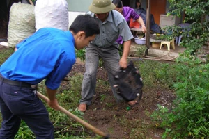 Khám sàng lọc phụ nữ có thai nghi ngờ nhiễm virus Zika