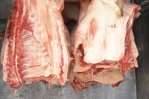 TP.HCM 'hứng' heo chết và bơm nước của Long An