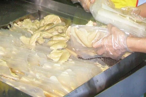 Bác thông tin tàu hủ ky làm từ nhựa