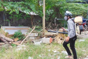 Đã có 35 ca nhiễm virus Zika tại TP.HCM