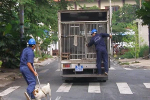 Hơn 330.000 người bị chó dại cắn trong năm 2016