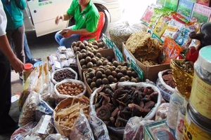 Phần lớn dược liệu Đông y không rõ nguồn gốc