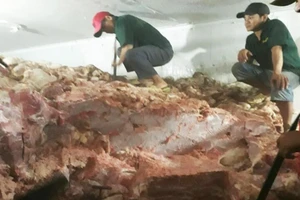 Hơn 30 tấn thịt heo không nguồn gốc suýt ra thị trường