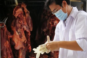 Thú y TP.HCM tiếp tục tạm thời cấp giấy kiểm dịch thịt 
