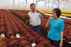 Đại biểu QH ăn rau tại vườn để minh chứng độ an toàn