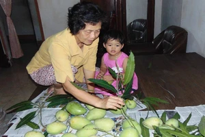 Trái xoài nhỏ, tình nghĩa lớn