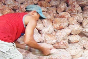 Gần 27 tấn thịt bẩn bị phát hiện, chủ hàng 'đánh bài chuồn'