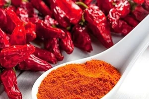  ‘Soi’ độc tố có nguy cơ gây ung thư gan trong ớt bột và sa tế