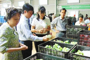 Một con gà… bán cho nhiều cơ sở kinh doanh