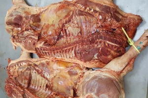 Đoàn kiểm tra vừa về, heo thúi “vọt ngay” vô chợ