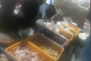Trung tâm giết mổ gà giống chợ chồm hổm bị 'tuýt còi'