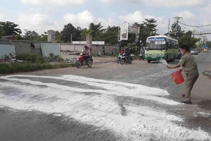 Chôn heo chết do dịch tả trong khuôn viên nhà văn hóa phường