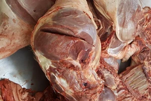 TP.HCM chặn đứng thịt heo bệnh vào 2 chợ đầu mối cuối năm