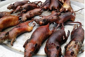 Thịt chuột ngon nhưng có nên ăn?