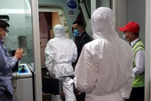 Xin ý kiến xử lý khách từ tàu Westerdam quá cảnh Tân Sơn Nhất