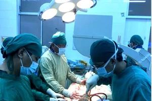 Chuyển giao kỹ thuật vi phẫu chỉnh hình cho BV Khánh Hòa