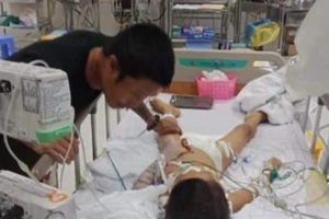 Cháu C. đang điều trị tại BV Nhi đồng 2 trong tình trạng hôn mê sâu. Ảnh: ĐOÀN HÙNG