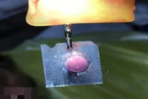 Không chỉ người rối loạn tâm thần mới uống thuốc cả vỏ