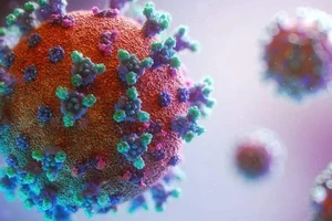 Phát hiện biến thể mới virus SARS-CoV-2 tại Việt Nam 