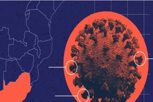 TP.HCM đã giải mã 408 bộ gene của SARS-CoV-2