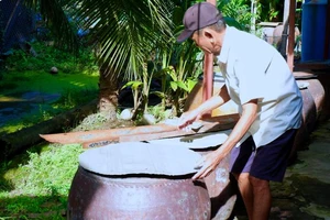 TP.HCM: thêm 1 ca tử vong do sốt xuất huyết