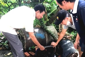 TP.HCM: Phát hiện lăng quăng, báo ngay y tế trực tuyến