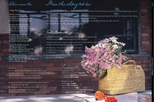 Đĩa than tái xuất: có mạo hiểm?